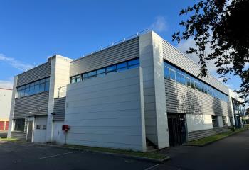 Location activité/entrepôt Massy (91300) - 2083 m² à Massy - 91300