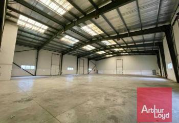 Location activité/entrepôt Mauguio (34130) - 1618 m² à Mauguio - 34130