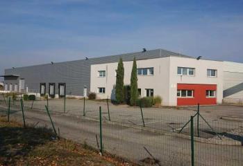 Location activité/entrepôt Meyzieu (69330) - 3327 m² à Meyzieu - 69330