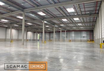 Location activité/entrepôt Moissy-Cramayel (77550) - 20423 m² à Moissy-Cramayel - 77550