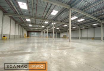 Location activité/entrepôt Moissy-Cramayel (77550) - 20496 m² à Moissy-Cramayel - 77550