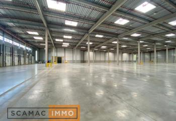 Location activité/entrepôt Moissy-Cramayel (77550) - 20496 m² à Moissy-Cramayel - 77550