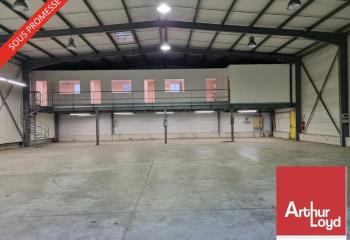Location activité/entrepôt Montélimar (26200) - 600 m² à Montélimar - 26200