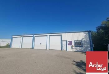 Location activité/entrepôt Montélimar (26200) - 550 m²