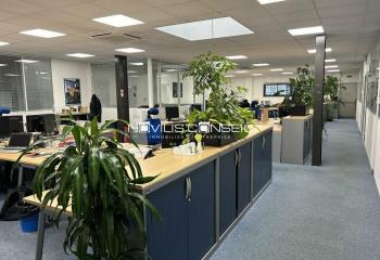 Location activité/entrepôt Montrabé (31850) - 761 m² à Montrabé - 31850