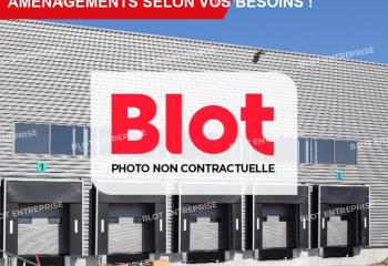 Location activité/entrepôt Moréac (56500) - 302 m² à Moréac - 56500