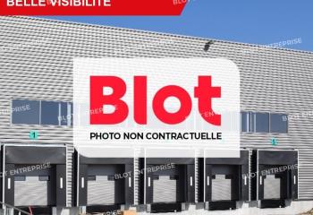 Location activité/entrepôt Moréac (56500) - 302 m² à Moréac - 56500