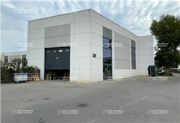 Location Activité 354 m² non divisibles