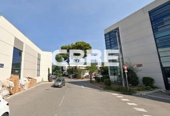 Location activité/entrepôt Mougins (06250) - 800 m² à Mougins - 06250