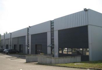 Location activité/entrepôt Mundolsheim (67450) - 1847 m² à Mundolsheim - 67450