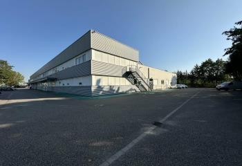 Location activité/entrepôt Mundolsheim (67450) - 696 m² à Mundolsheim - 67450