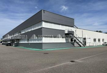 Location activité/entrepôt Mundolsheim (67450) - 696 m²