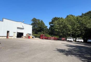 Location activité/entrepôt Nantes (44300) - 680 m² à Nantes - 44000