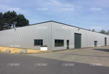 Location activité/entrepôt Neuville-en-Ferrain (59960) - 588 m²