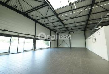 Location activité/entrepôt Neuville-sur-Saône (69250) - 536 m² à Neuville-sur-Saône - 69250