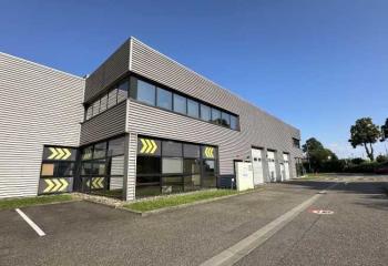 Location activité/entrepôt Niederhausbergen (67207) - 855 m² à Niederhausbergen - 67207