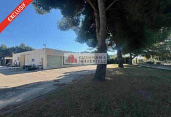 Location activité/entrepôt Nîmes (30000) - 670 m² à Nîmes - 30000