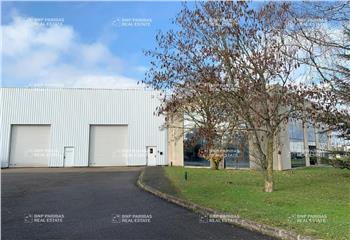 Location activité/entrepôt Olivet (45160) - 3130 m² à Olivet - 45160