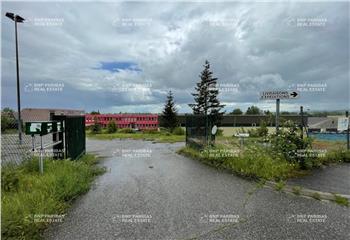 Location activité/entrepôt Otterswiller (67700) - 39980 m² à Otterswiller - 67700