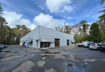 Location activité/entrepôt Pessac (33600) - 192 m²