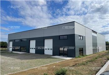 Location activité/entrepôt Pibrac (31820) - 1451 m² à Pibrac - 31820