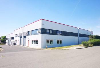Location activité/entrepôt Quincy-Voisins (77860) - 570 m² à Quincy-Voisins - 77860