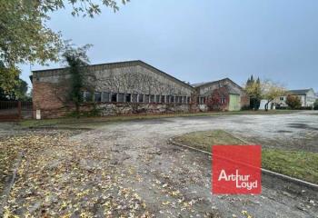 Location activité/entrepôt Reyniès (82370) - 8166 m² à Reyniès - 82370