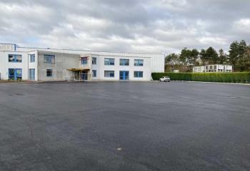 Location activité/entrepôt Ris-Orangis (91130) - 1000 m² à Ris-Orangis - 91130