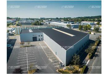 Location activité/entrepôt Roncq (59223) - 3142 m²