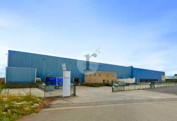 Location activité/entrepôt Roncq (59223) - 6805 m² à Roncq - 59223