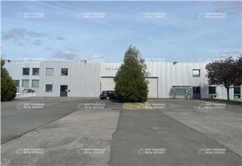 Location activité/entrepôt Roncq (59223) - 500 m² à Roncq - 59223