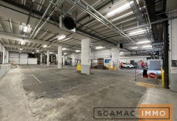 Location activité/entrepôt Rungis (94150) - 1700 m² à Rungis - 94150