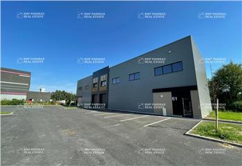 Location activité/entrepôt Sainghin-en-Mélantois (59262) - 1002 m²