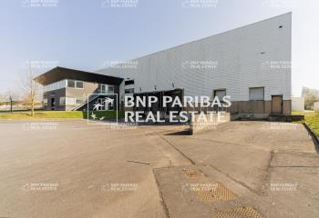 Location activité/entrepôt Saint-Michel-sur-Orge (91240) - 6733 m²