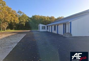 Location activité/entrepôt Saint-Nazaire (44600) - 184 m²