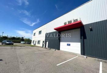 Location activité/entrepôt Saint-Quentin-Fallavier (38070) - 226 m² à Saint-Quentin-Fallavier - 38070