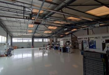 Location activité/entrepôt Saint-Trivier-sur-Moignans (01990) - 6750 m² à Saint-Trivier-sur-Moignans - 01990