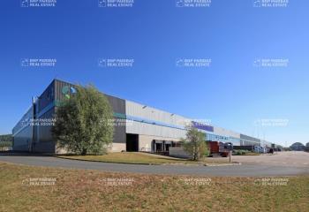 Location activité/entrepôt Saint-Vigor-d'Ymonville (76430) - 12978 m² à Saint-Vigor-d'Ymonville - 76430