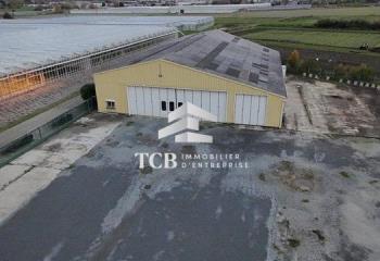 Location activité/entrepôt Sainte-Gemmes-sur-Loire (49130) - 806 m²