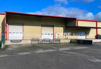 Location activité/entrepôt Scherwiller (67750) - 1650 m² à Scherwiller - 67750