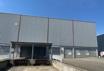 Location activité/entrepôt Sélestat (67600) - 310 m²