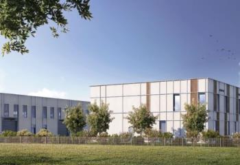 Location activité/entrepôt Serris (77700) - 1295 m²