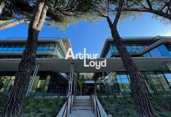 Location activité/entrepôt Sophia Antipolis (06560) - 1000 m²