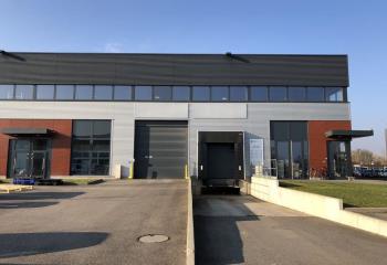 Location activité/entrepôt Strasbourg (67200) - 896 m² à Strasbourg - 67000