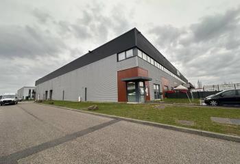 Location activité/entrepôt Strasbourg (67200) - 4650 m² à Strasbourg - 67000