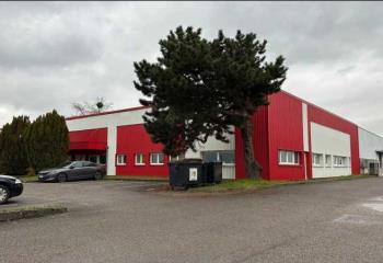 Location activité/entrepôt Strasbourg (67100) - 230 m² à Strasbourg - 67000