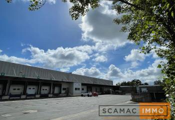 Location activité/entrepôt Thiais (94320) - 7005 m²