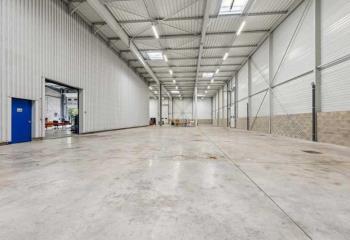 Location activité/entrepôt Torcy (77200) - 3500 m²