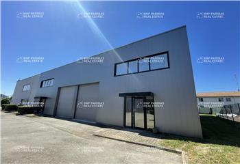 Location activité/entrepôt Toulouse (31100) - 900 m² à Toulouse - 31000