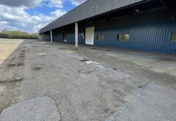 Location activité/entrepôt Trappes (78190) - 5000 m² à Trappes - 78190